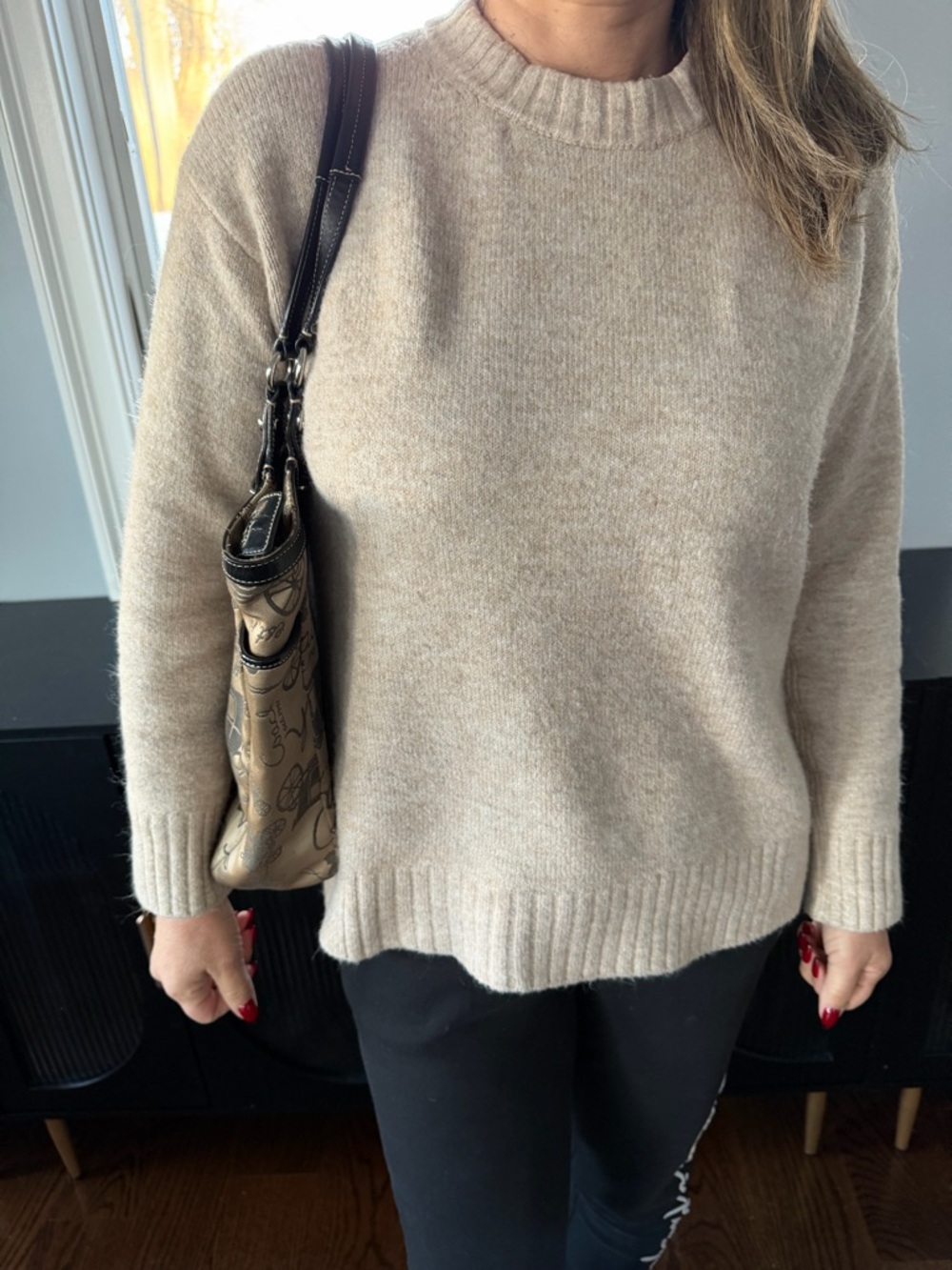Coach Horse And Carriage East West Beige and Black Graphic Tote - Picture 7 of 7